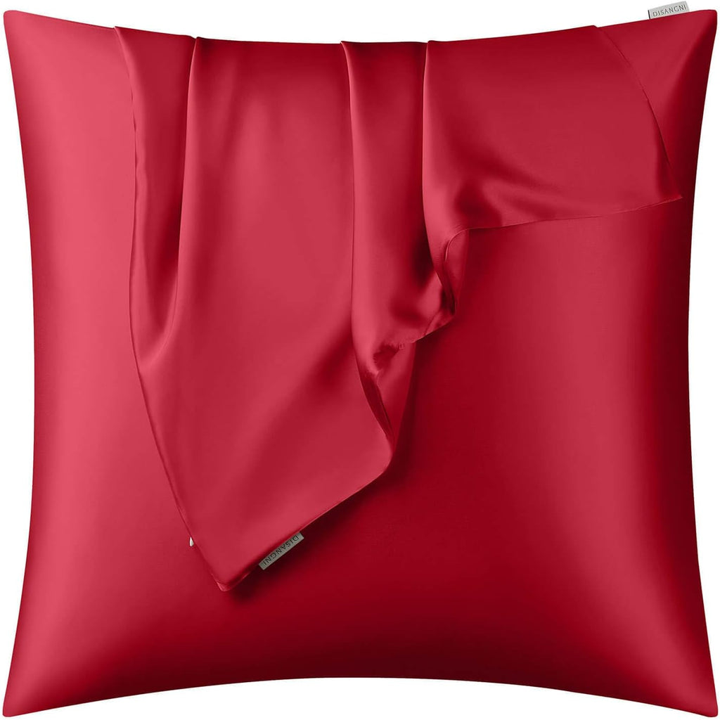 DISANGNI 100% Natural Mulberry Silk Pillow case for Hair and Skin with Hidden Zipper 22 Momme Both Sides Real Silk Pillow Case (2pc Standard Size 20" x26", Dark Gray)