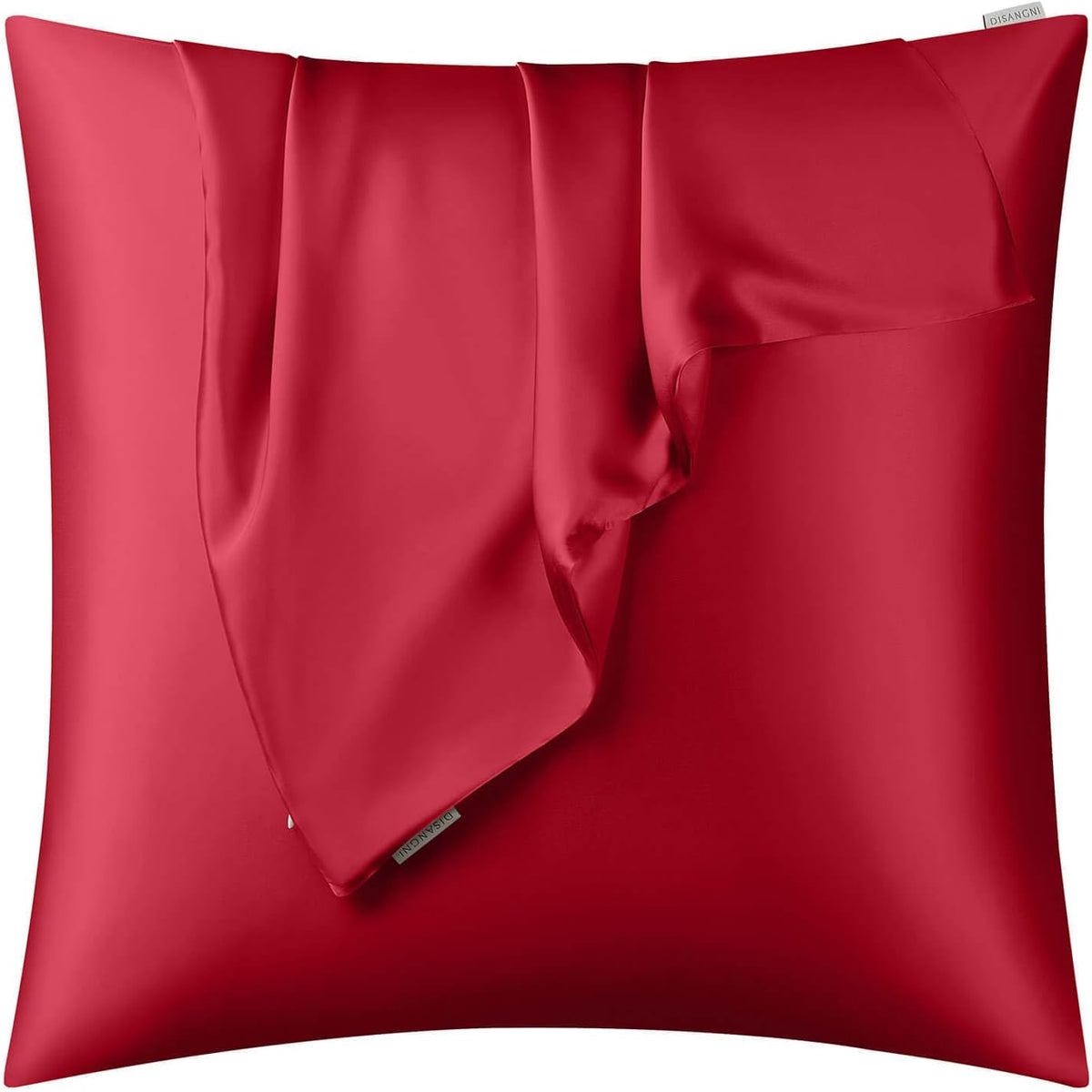 DISANGNI 100% Natural Mulberry Silk Pillow case for Hair and Skin with Hidden Zipper 22 Momme Both Sides Real Silk Pillow Case (2pc Standard Size 20" x26", Dark Gray)