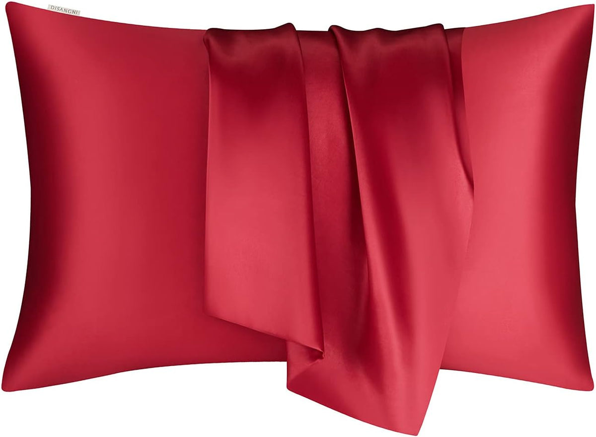 DISANGNI 100% Natural Mulberry Silk Pillow case for Hair and Skin with Hidden Zipper 22 Momme Both Sides Real Silk Pillow Case (2pc Standard Size 20" x26", Dark Gray)