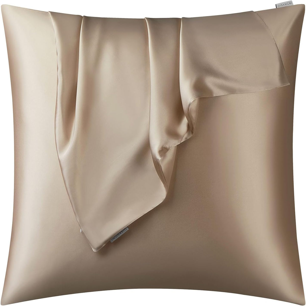 DISANGNI 100% Natural Mulberry Silk Pillow case for Hair and Skin with Hidden Zipper 22 Momme Both Sides Real Silk Pillow Case (2pc Standard Size 20" x26", Dark Gray)