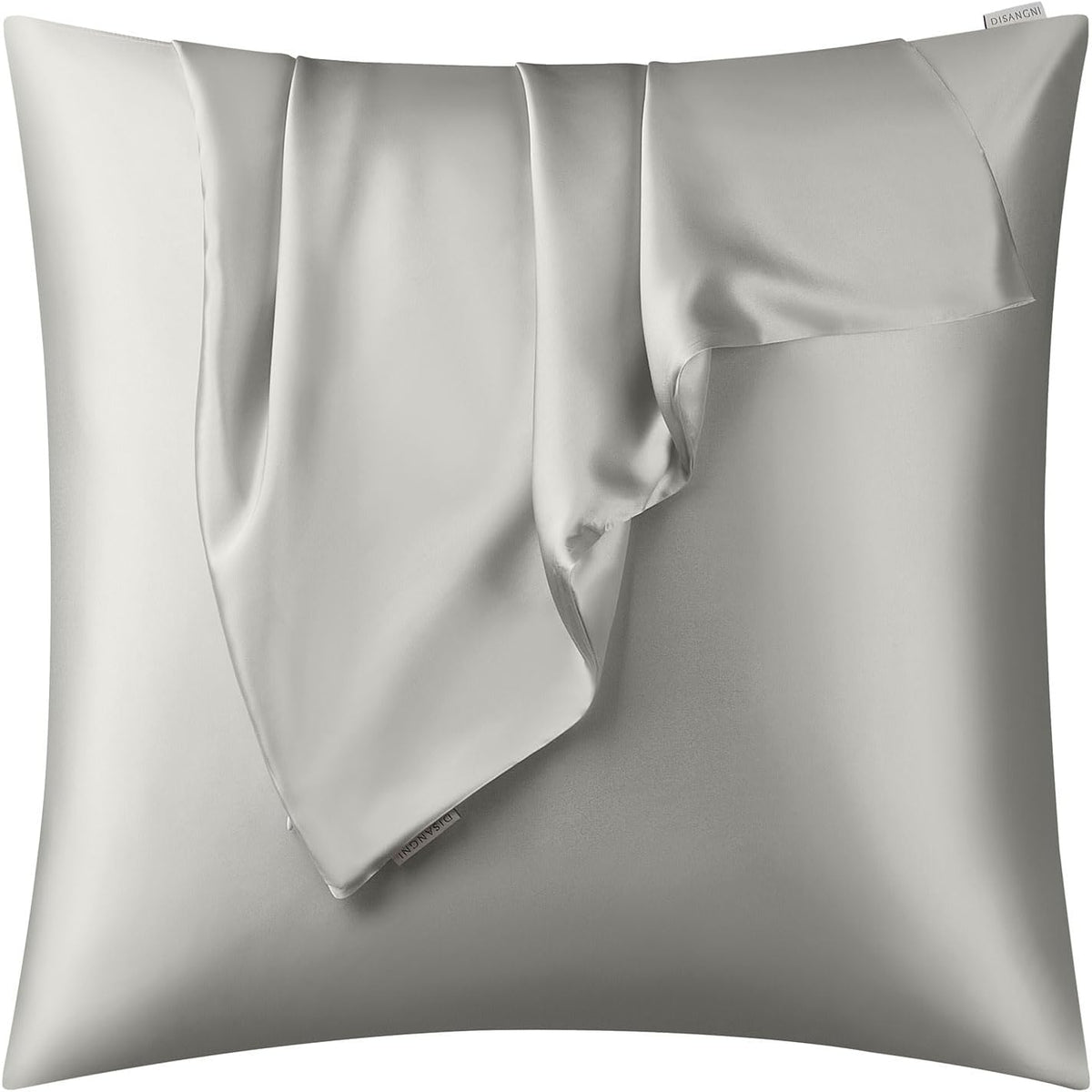 DISANGNI 100% Natural Mulberry Silk Pillow case for Hair and Skin with Hidden Zipper 22 Momme Both Sides Real Silk Pillow Case (2pc Standard Size 20" x26", Dark Gray)