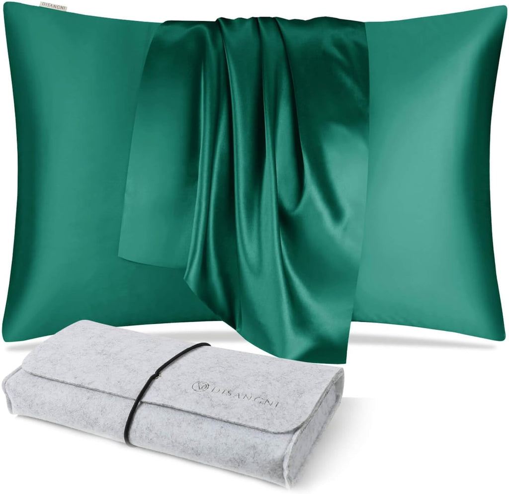DISANGNI 100% Natural Mulberry Silk Pillow case for Hair and Skin with Hidden Zipper 22 Momme Both Sides Real Silk Pillow Case (2pc Standard Size 20" x26", Dark Gray)