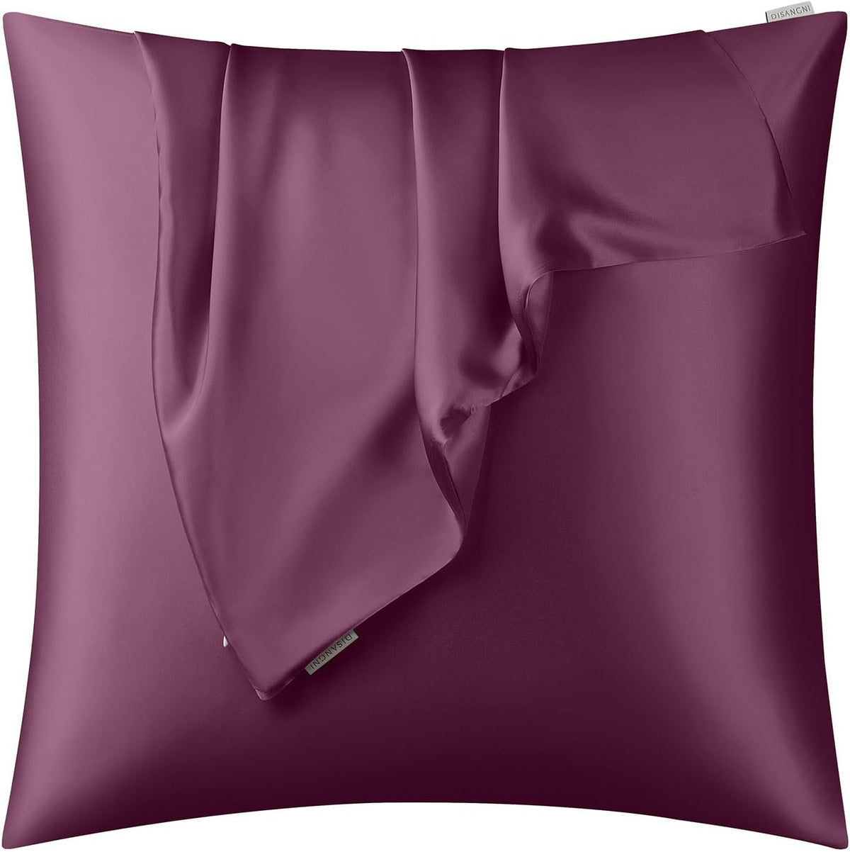 DISANGNI 100% Natural Mulberry Silk Pillow case for Hair and Skin with Hidden Zipper 22 Momme Both Sides Real Silk Pillow Case (2pc Standard Size 20" x26", Dark Gray)