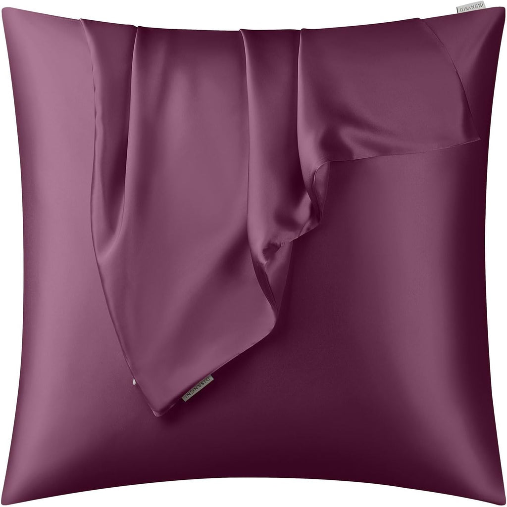 DISANGNI 100% Natural Mulberry Silk Pillow case for Hair and Skin with Hidden Zipper 22 Momme Both Sides Real Silk Pillow Case (2pc Standard Size 20" x26", Dark Gray)