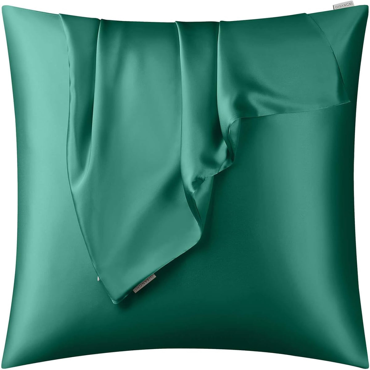 DISANGNI 100% Natural Mulberry Silk Pillow case for Hair and Skin with Hidden Zipper 22 Momme Both Sides Real Silk Pillow Case (2pc Standard Size 20" x26", Dark Gray)